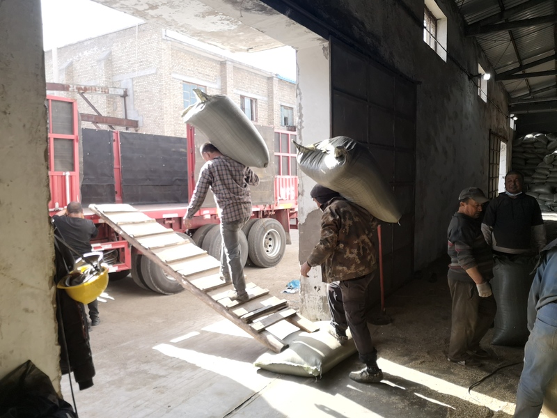 ����������Ϣ2020.03.17����ů�����������������Ż��ǹ���ӭ������������ (7).jpg